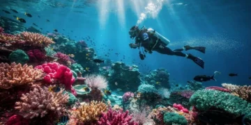 O perfume artificial que os cientistas criaram para salvar os corais de uma praga faminta