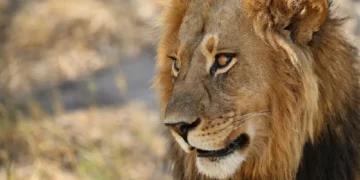 Imposto de renda: como funciona a tributação para quem tem investimento no exterior